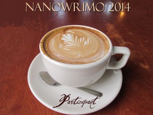 NaNoWriMoParticipant2014_zpsdddc8654